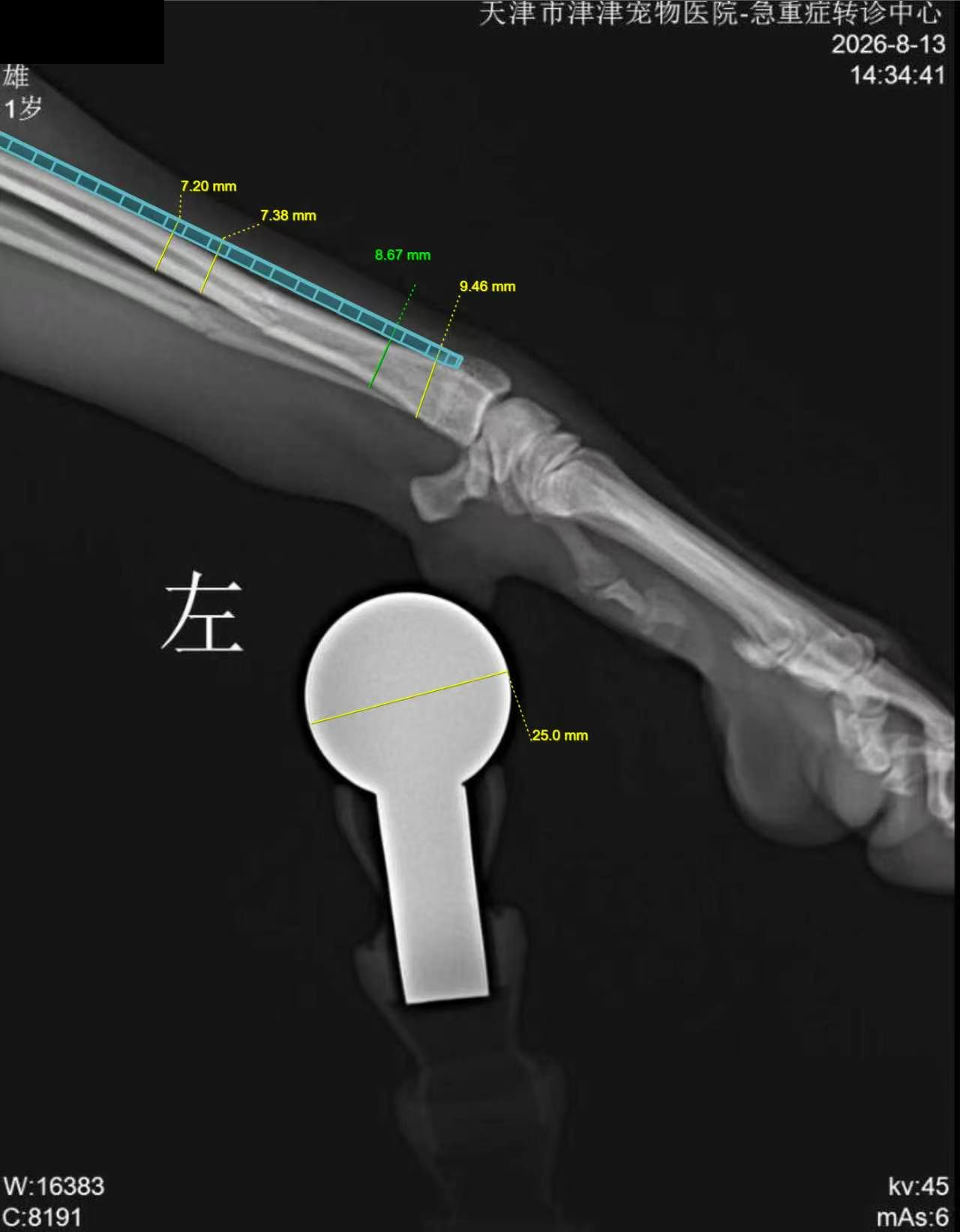 津津宠物医院诊疗影像记录